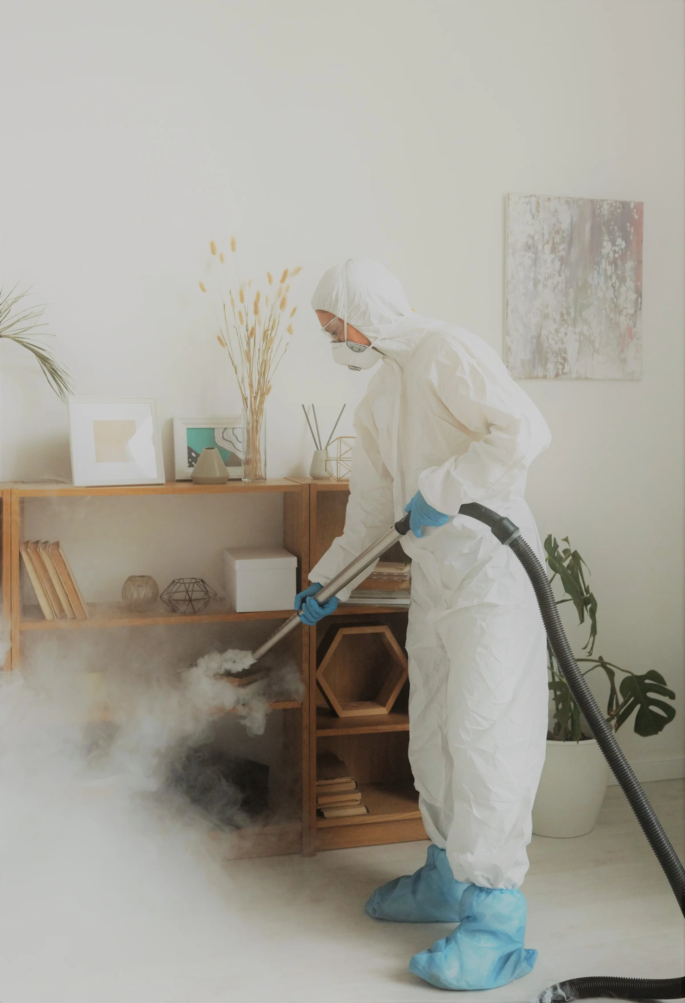 Sanitization Service