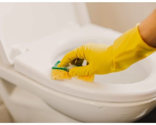 home cleaning service in bangalore