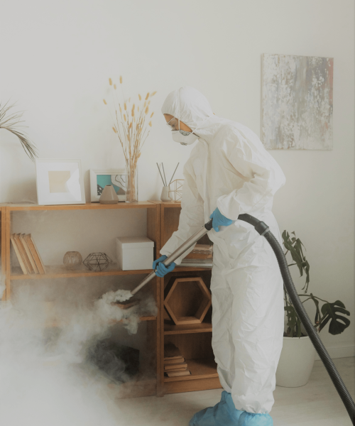 disinfection and sanitization service service in bangalore